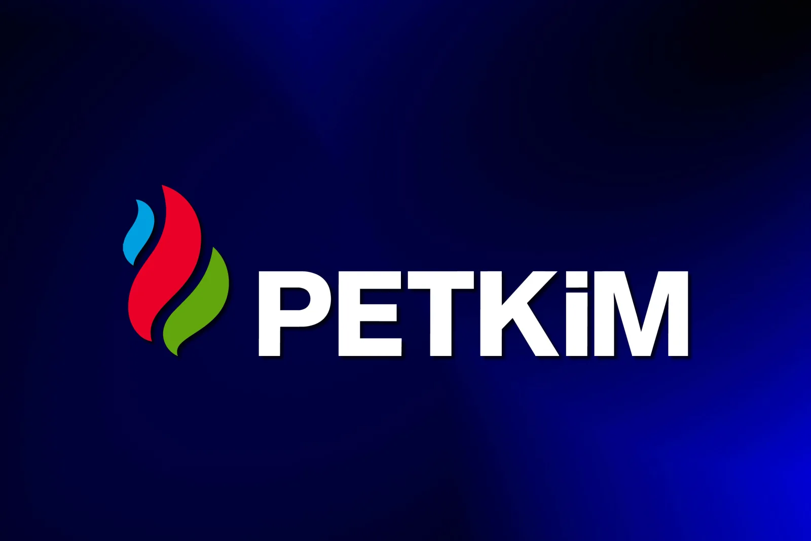 Petkim Logo